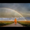 "Rainbow Warrior" von h.koppdelaney