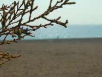Am Strand in Kalathos