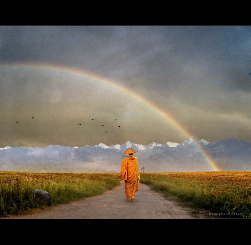 "Rainbow Warrior" von h.koppdelaney